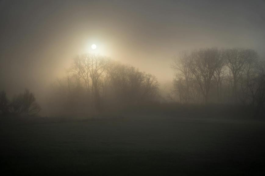 When ‘Just Notice’ Becomes Control: The Subtle Trap of Fake Mindfulness